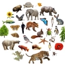 Image of Finding Nature