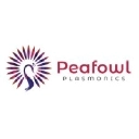 Image of Peafowl Plasmonics