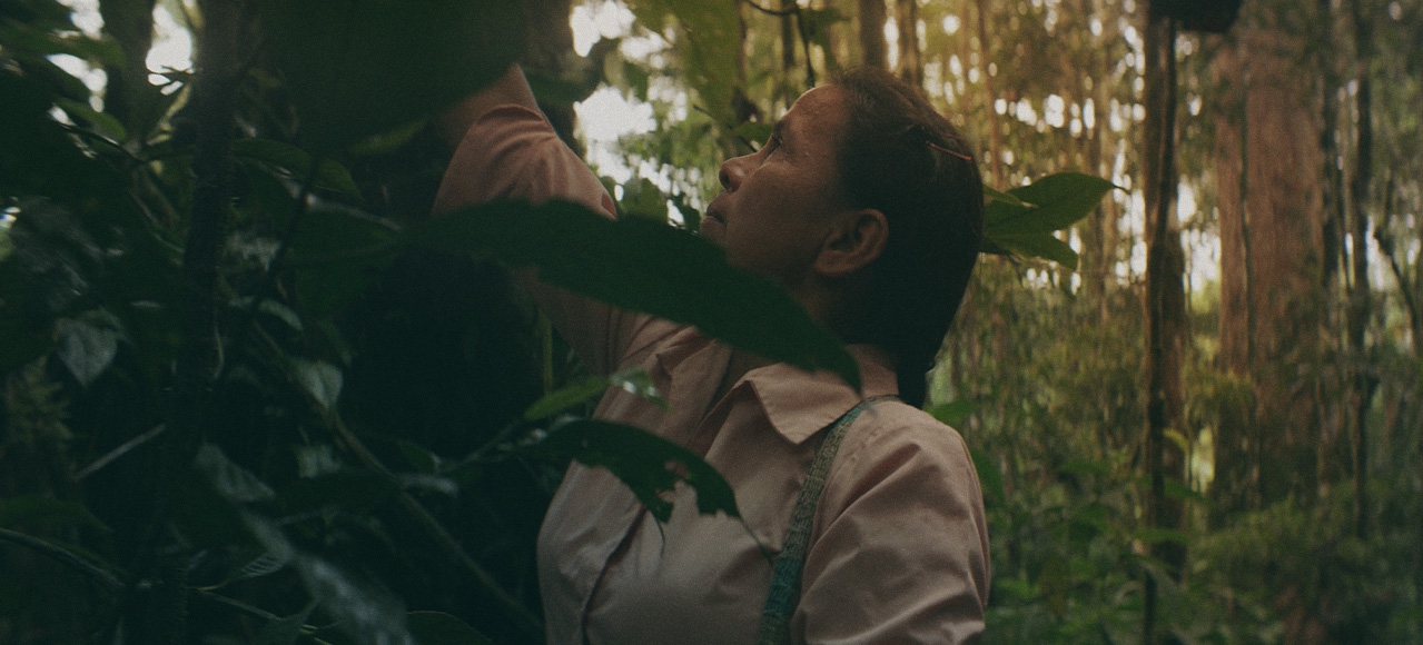 Our partners at Humans for Abundance are restoring rainforest in Ecuador's Amazon.