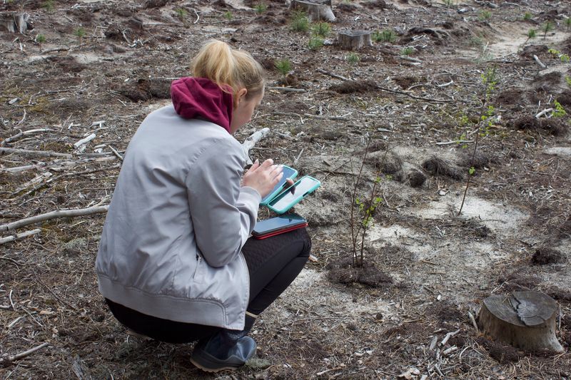 A member of ReClimate's team uses Terraware to map planted trees in Ukraine. Photo: ReClimate