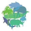Image of Alliance Earth